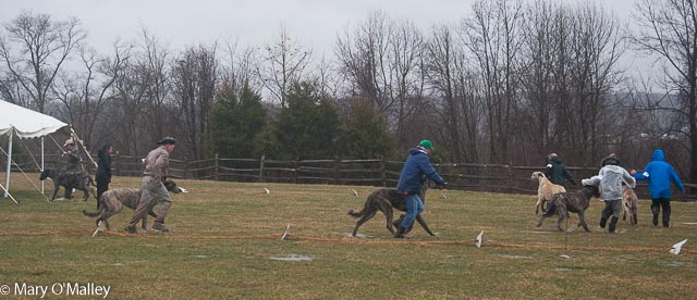 2014 PVIWC Specialty Show