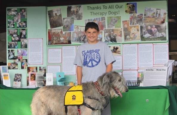 irish wolfhound therapy dog