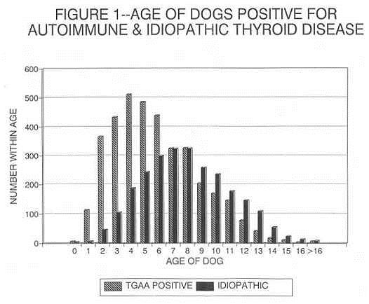 Figure 1 - Age of dogs positive for autoimmune and idiopathic thyroid disease