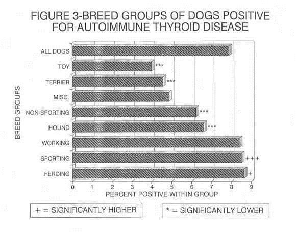 Figre 3 - Breed groups of dogs positive for autoimmune thyroid disease