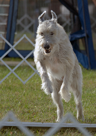 IW performing a jump exercise