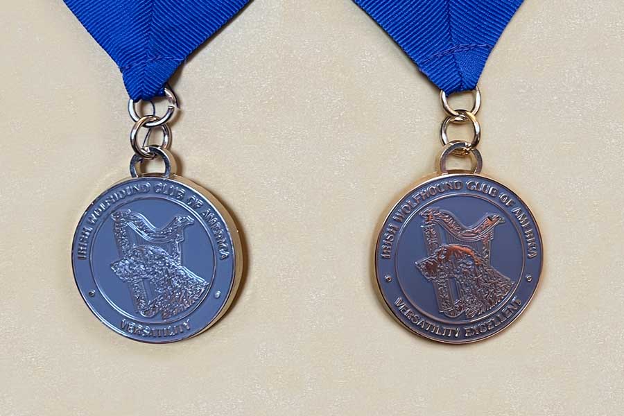 VC and VCX Medallions