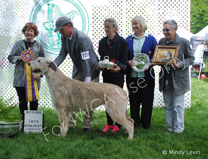 CH HOUND HILL VALE OF AERIE